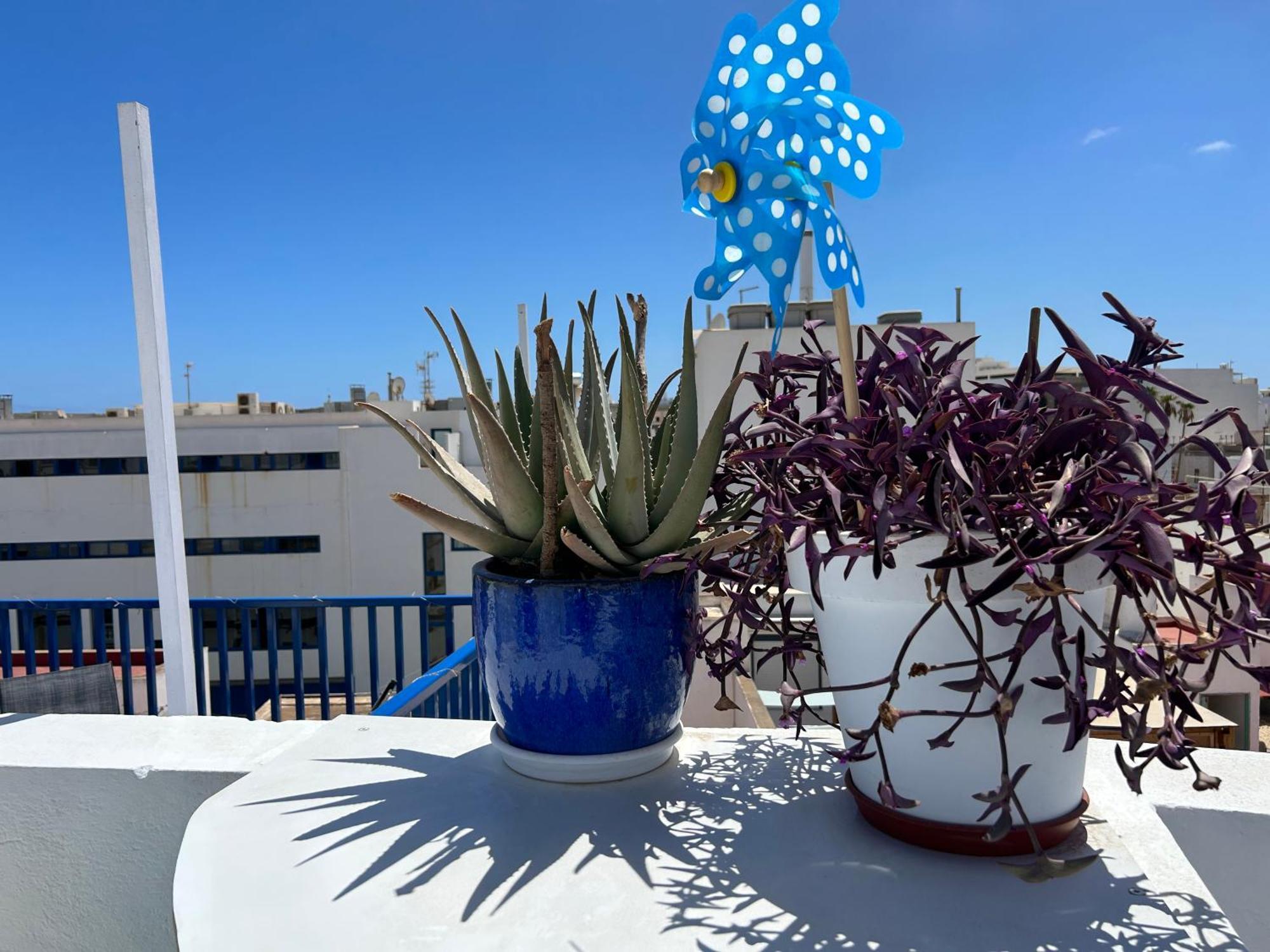 La Buganvilla Rooms Arrecife  Exteriér fotografie